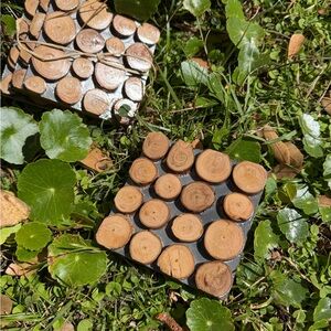 Wooden Coasters with Natural Design set of 4 pieces